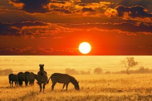 _Kruger National Park
